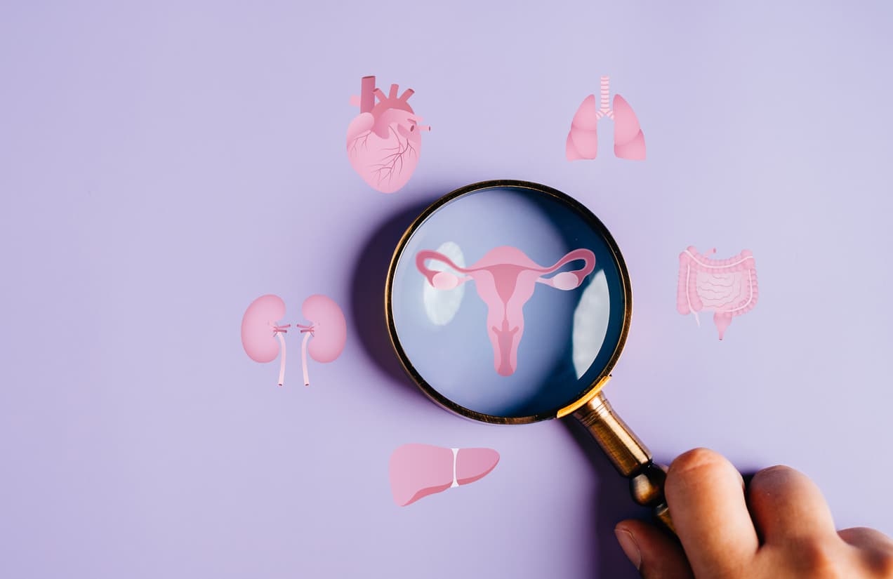Cardiovascular risk in polycystic ovary syndrome