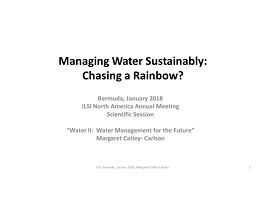 Margaret Catley-Carlson · Chasing the Water Sustainability Rainbow?