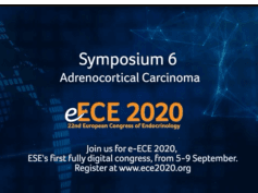e-ECE 2020: Symposium 6