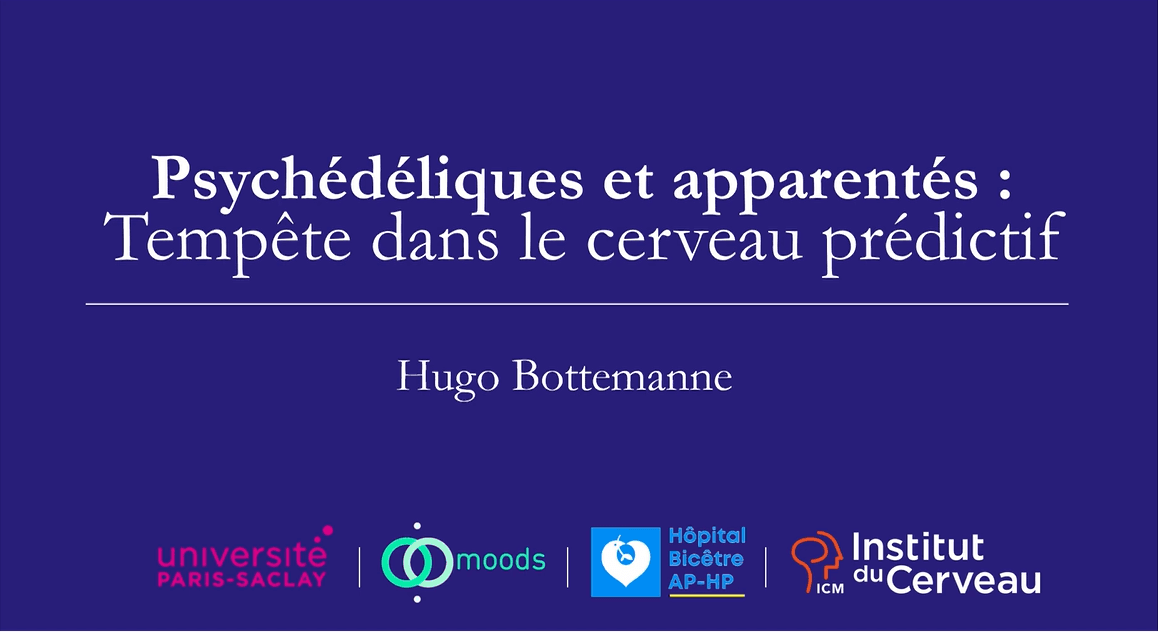 Hugo Bottemanne · Psychédéliques et apparentés : Tempête dans le cerveau prédictif