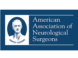 Sam Safavi-Abbasi · Repair of intraoperative aneurysm neck tear utilizing the cotton-clipping technique