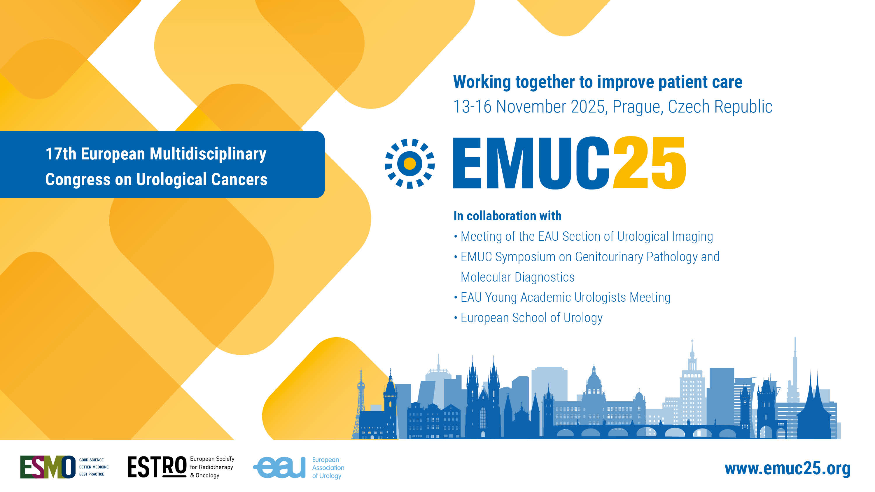 17ᵉ Congrès Européen Multidisciplinaire sur le Cancer Urologique - EMUC25