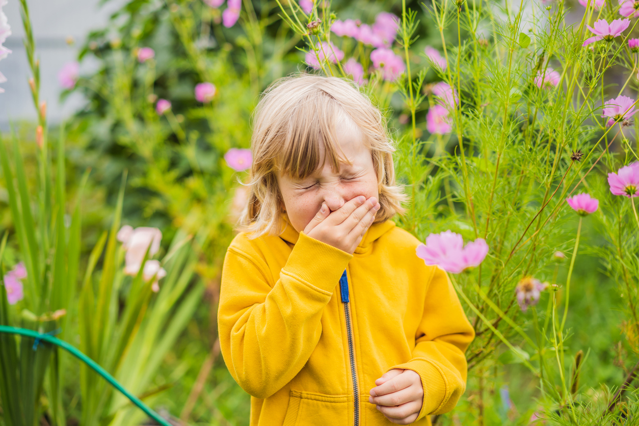 Allergie au bouleau : une piqûre pour tout changer ? Allergie au bouleau : une piqûre pour tout changer ?