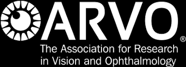 Association For Research In Vision And Ophthamology