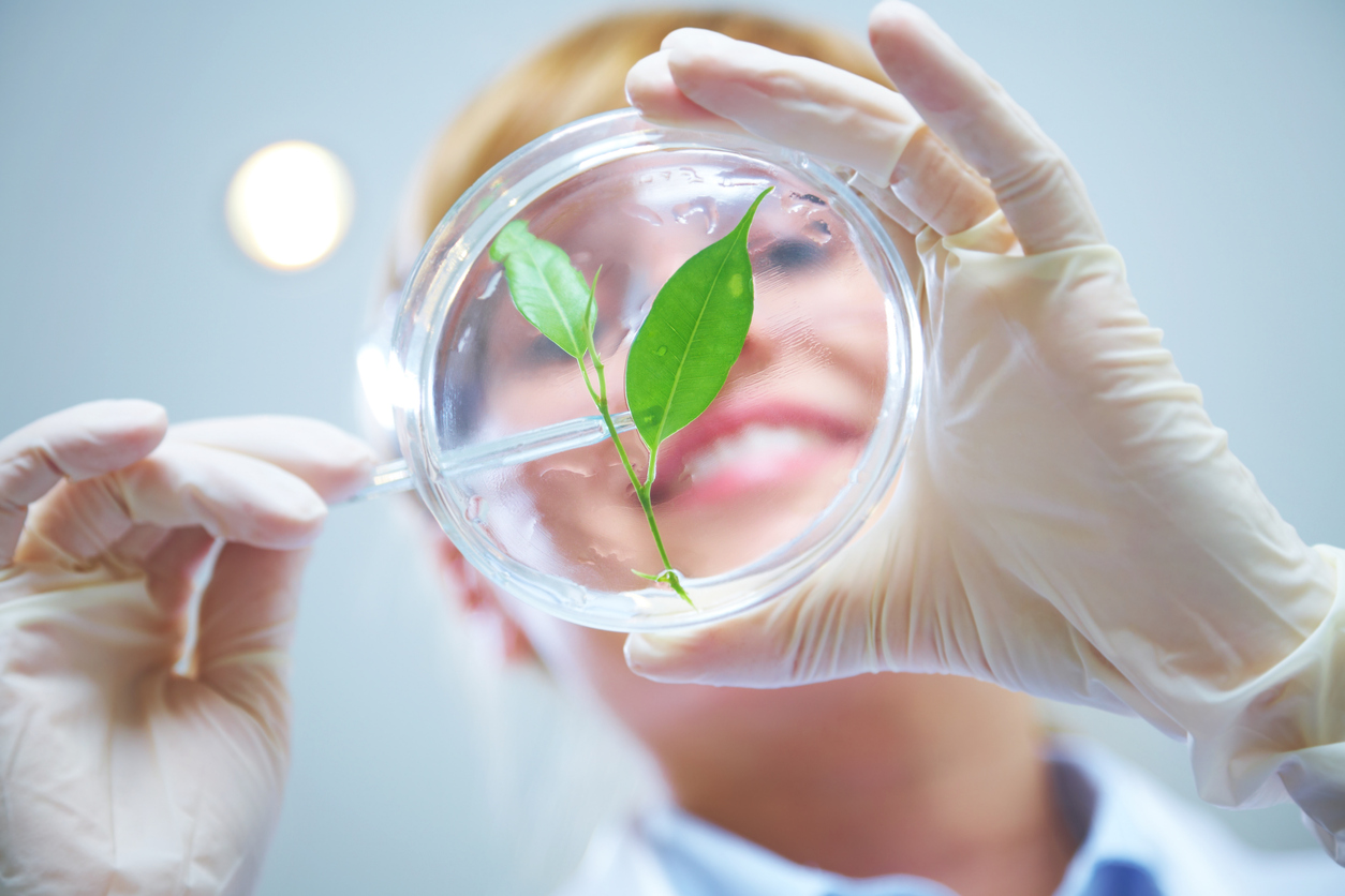 Metastatic breast cancer: can plants change the game? Metastatic breast cancer: can plants change the game?