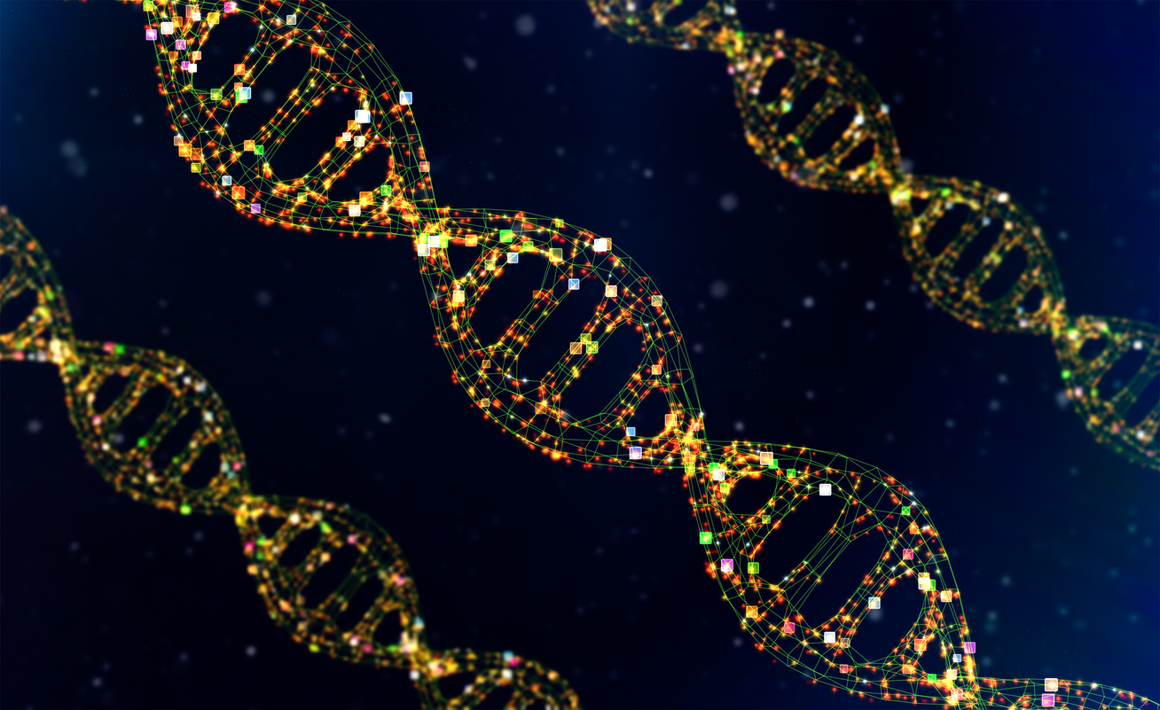 Comment nos cellules neutralisent les ARN toxiques Comment nos cellules neutralisent les ARN toxiques