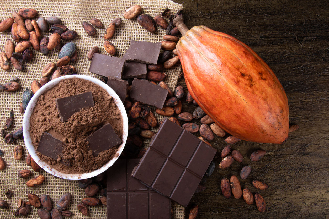 Effects of Cocoa Polyphenol-Rich Dark Chocolate on Brain Efficiency During Cognitive Tasks