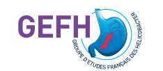 Groupe d'Études Français des Helicobacter - GEFH