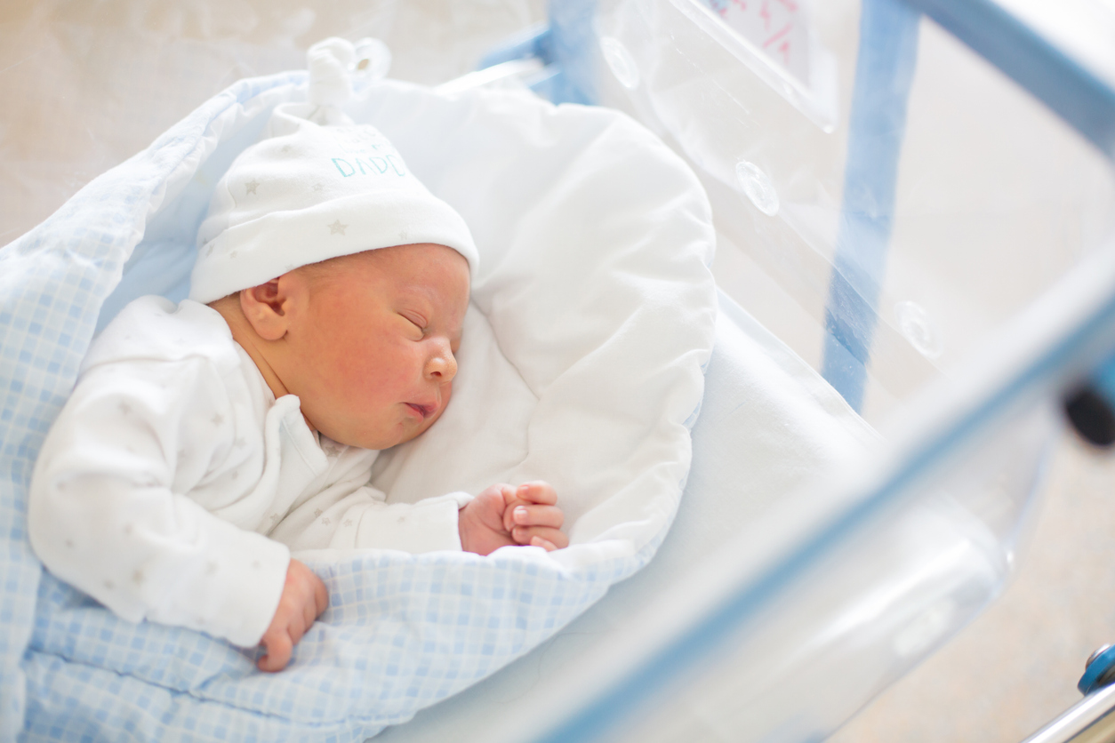 The fat that saves babies: spotlight on the role of BMP8B in cold resistance The fat that saves babies: spotlight on the role of BMP8B in cold resistance