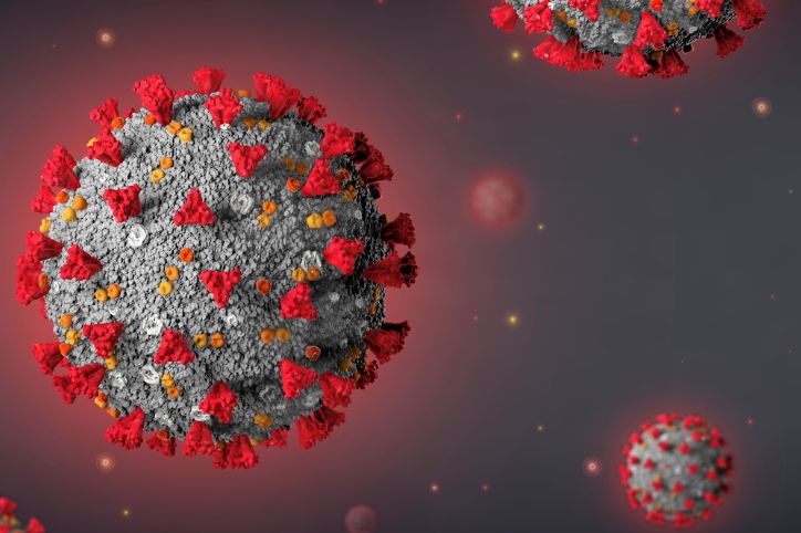 La protéine S du SARS-CoV2 capable d’induire la déformation des plaquettes sanguines.
