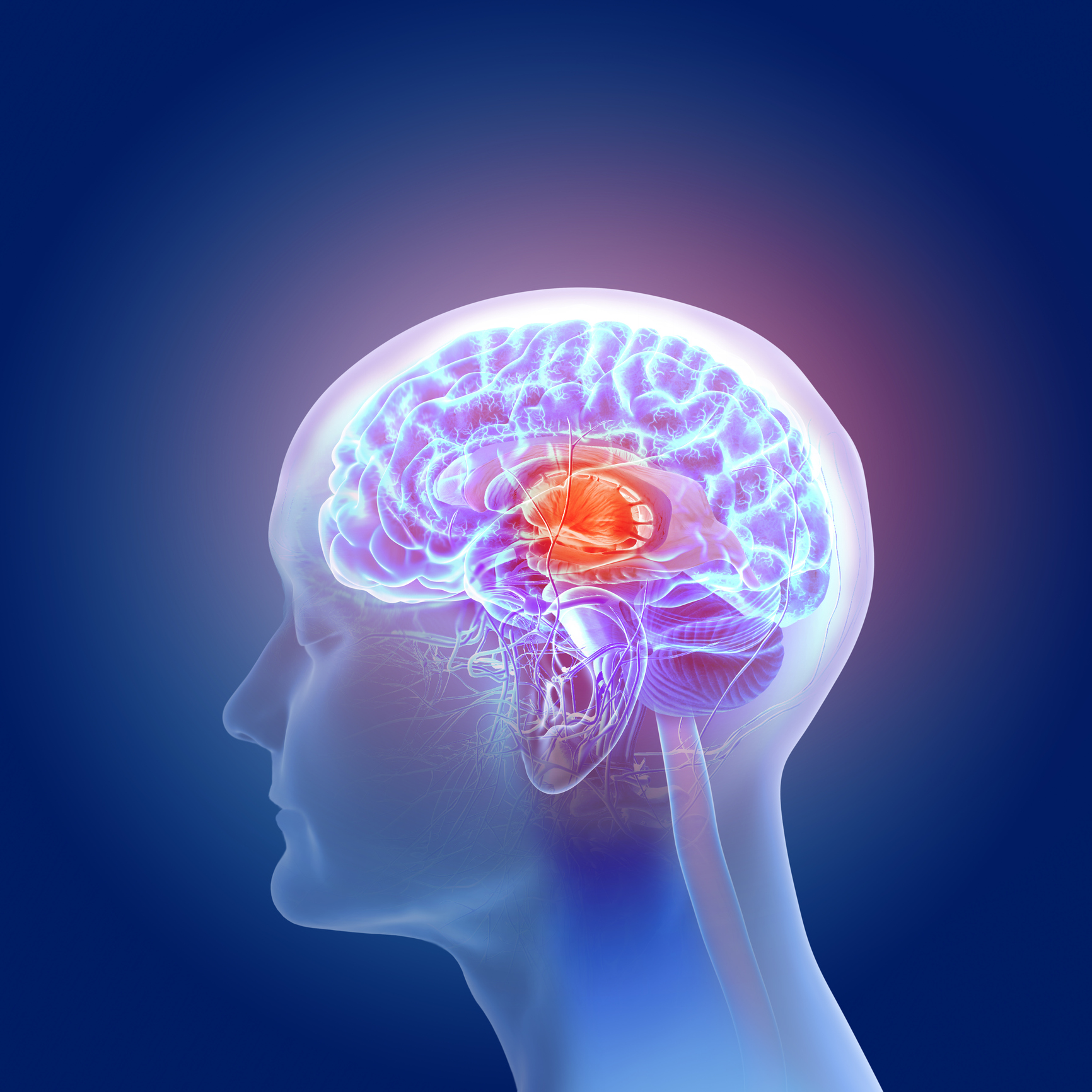 Le système rénine-angiotensine dans le cerveau humain