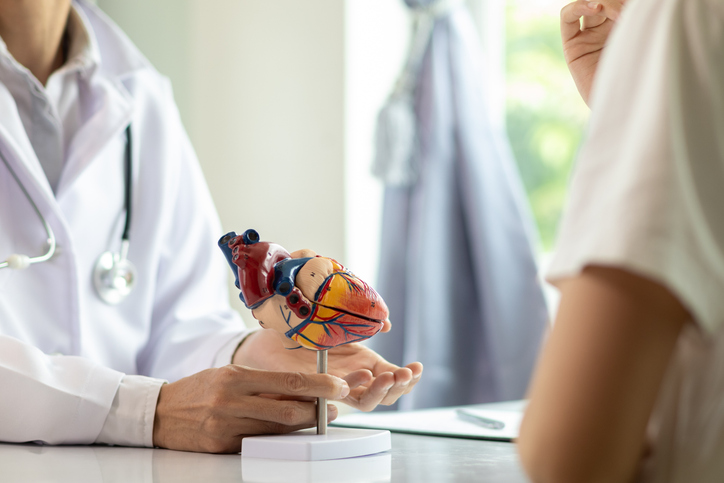 Obésité et insuffisance cardiaque : la perte de poids pourrait restaurer la contractilité du muscle cardiaque Obésité et insuffisance cardiaque : la perte de poids pourrait restaurer la contractilité du muscle cardiaque