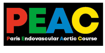 Paris Endovascular Aortic Course - PEAC 2020