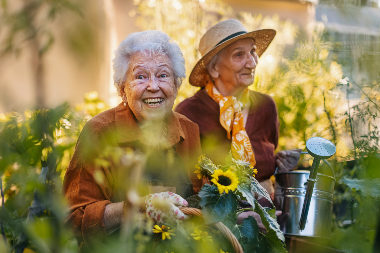 Preventing cognitive decline: the winning trio? Preventing cognitive decline: the winning trio?