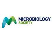 Society For General Microbiology Annual Meeting 2019