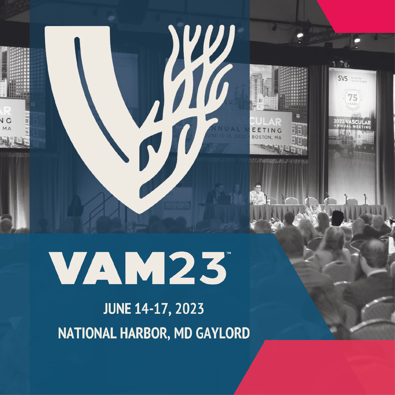 Medflixs Vascular Annual Meeting SVS VAM 2023