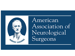 Awake resection of a left operculo-insular low-grade glioma guided by cortico-subcortical mapping Awake resection of a left operculo-insular low-grade glioma guided by cortico-subcortical mapping