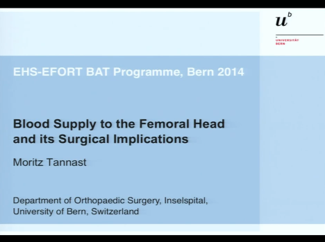 Blood supply of the femoral head and it's surgical implications Blood supply of the femoral head and it's surgical implications