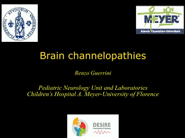 Brain channelopathies Brain channelopathies