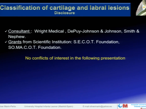 Description and classification of cartilage and labral lesions Description and classification of cartilage and labral lesions