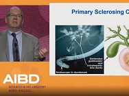 Hepatobiliary manifestations and IBD Hepatobiliary manifestations and IBD