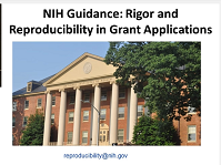 Rigor and Responsibilities in Grant Applications Rigor and Responsibilities in Grant Applications