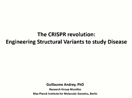 The CRISPR revolution engineering structural variants to study disease The CRISPR revolution engineering structural variants to study disease